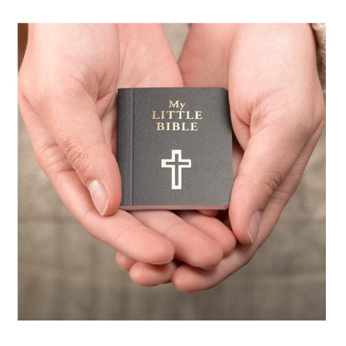 Bible Promo